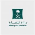 صدور الموافقة الكريمة على تمديد الفترة التصحيحية لنظام مكافحة التستر 6 أشهر إضافية