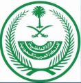 لمدة عام.. “الداخلية” تمدّد فترة تصحيح أوضاع الأسلحة الفردية والذخيرة غير النظامية للمواطنين
