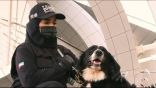 ‏⁧‫الإمارات‬⁩ تنجح في الكشف عن فيروس ⁧‫كورونا‬⁩ من خلال الكلاب المدربة .