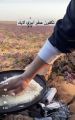 فيصل الجوف من يوميات عائلية إلى مشاهدات مليونية