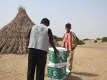 مركز الملك سلمان للإغاثة يوزع 1800 سلة غذائية في المناطق المحاذية لصعدة