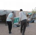 “سلمان للإغاثة” يوزع 1300 سلة غذائية للنازحين من الجوف إلى مأرب