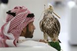 صقارون : مهرجان الملك عبدالعزيز للصقور أضاف الكثير لهذا الإرث العريق