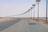 مضمار عالمي لمهرجان ولي العهد للهجن