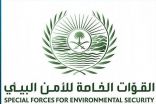 متحدث القوات الخاصة للأمن البيئي: تحديد هوية الأشخاص الذين قاموا بإيذاء سلاحف على أحد شواطئ محافظة أملج بتبوك