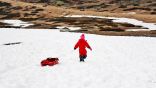 “جبل اللوز”.. وجهة تساقط الثلوج في “شتاء السعودية”