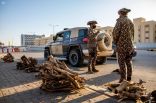 القوات الخاصة للأمن البيئي تضبط أكثر من 9 أطنان من الحطب المحلي المعد للبيع في الرياض