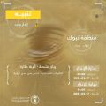 المركز الوطني للأرصاد: رياح نشطة وأتربة مثارة على منطقة تبوك