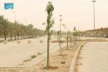 جامعة القصيم تشارك في حملة “أرض القصيم خضراء” بزراعة 10 آلاف شتلة