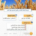 المؤسسة العامة للحبوب تنتهي من ترسية الدفعة الثالثة من القمح المستورد هذا العام