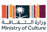 نائب وزير الثقافة يلتقي الممثل السامي لمكتب تحالف الحضارات بالأمم المتحدة