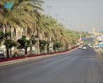 أكثر من 600 ألف زهرة تجمل ميادين وطرق محافظة عنيزة