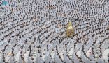 خطبتا الجمعة من المسجد الحرام والمسجد النبوي