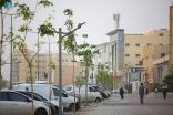 أمانة القصيم تكثف أعمال تشجير الطرق الرئيسة بمدينة بريدة