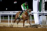 الجواد “كحيلان” يحقق كأس جامعة الملك عبدالعزيز لسباقات الخيل للمصيف بالطائف