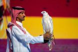 بَيْعُ صقرين بـ 63 ألف ريالٍ في الليلة الثامنة للمزاد الدولي لمزارع إنتاج الصقور
