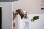منافسات ساخنة في “ملواح” مهرجان الملك عبدالعزيز للصقور بيومه الأول