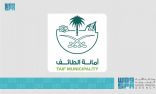 أمانة الطائف تنفذ أكثر من 21 ألف جولة رقابية على المنشآت التجارية