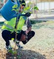 “تقنية رفحاء” تطلق حملة التشجير الخامسة