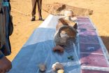 سمو أمير منطقة الجوف يطلع على سير العمل في مشروع الطوير الأثري ويلتقى بفريق البحث والتنقيب