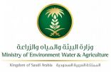 “البيئة” : 383 هكتاراً تم زراعتها مطرياَ في جنوب غرب المملكة