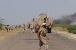 الجيش اليمني يحرر مواقع من الحوثيين في البيضاء والجوف