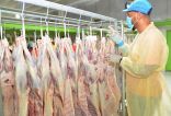 “مشروع المملكة للأضاحي” ينفذ 50 ألف رأس من الأغنام في الحج