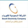“السعودية للكهرباء”: إعادة تدوير 6 ملايين لتر من زيوت المحولات في 5 سنوات