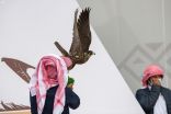 انطلاق النسخة الثالثة لمهرجان الملك عبدالعزيز للصقور
