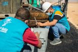 وزارة النقل تنهي عملية فحص جميع الطرق المؤدية للمشاعر المقدسة