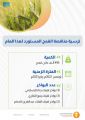 المؤسسة العامة للحبوب تنهي ترسية مناقصة القمح لعام 2022