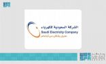 “السعودية للكهرباء” تعلن نجاح الخطة التشغيلية لحج 1443هـ