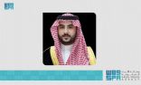 رئيس مجلس القيادة الرئاسي اليمني يستقبل سمو وزير الدفاع