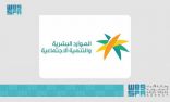 تطبيق المرحلة الثانية من المقابل المالي على العمالة المنزلية التي تزيد على (4) عاملين للفرد اعتبارًا من 11 مايو