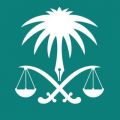 النيابة العامة: السجن 14 عاماً ومصادرة قرابة ١٠ ملايين ريال لتشكيل عصابي حاول تهريب أموال خارج المملكة عبر إحدى المطارات
