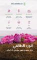 “البيئة”: 64 مليون ريال حجم استثمارات الورد الطائفي في السوق السعودية   
