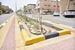 زراعة 5500 شجرة متنوعة ضمن جهودها في تحسين المشهد الحضري وزيادة الرقعة الخضراء بمحافظة القطيف 
