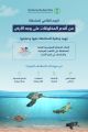 “البيئة” تشارك العالم الاحتفاء باليوم العالمي للسلاحف البحرية.. جهود وطنية لحمايتها والمحافظة عليها