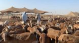 البيئة: وصول أكثر من مليوني رأس من الماشية إلى ميناء جدة الإسلامي خلال موسم الحج