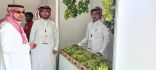 انطلاق مهرجان العنب والفواكه الموسمية بمركز الماوين في موسمه الرابع 