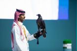 بيع 3 صقور بريطانية في الليلة السابعة لمنصة المزاد الدولي لمزارع إنتاج الصقور