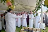 انطلاق مهرجان الرمان بسراة عبيدة بحضور جماهيري كبير