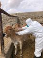 “وقاء عسير” ينفذ عدداً من الجولات الميدانية الوقائية