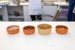 نبتة “السمح” تسيطر على الأكلات التقليدية في ركن منطقة الجوف بمهرجان الوليمة