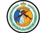 حرس الحدود بعسير يحبط تهريب( 480 ) كيلوجرامًا من نبات القات المخدر 