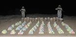 حرس الحدود بعسير يحبط تهريب( 350 كيلوجرامًا من نبات القات المخدر