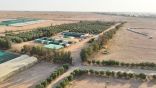 هيئة تطوير محمية الملك سلمان بن عبدالعزيز الملكية بالتعاون مع مركز “الغطاء النباتي” تزرع مليون شتلة من النباتات المحلية