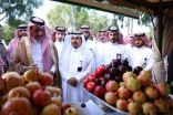 وسط حضور كبير ..انطلاق مهرجان الرمان بسراة عبيدة