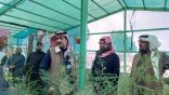 مبادرة جمع بذور ما يسمى ( الذهب الأخضر )