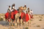 انطلاق أبناء الأحساء بالإبل لبحيرة الأصفر لنثر البذور 